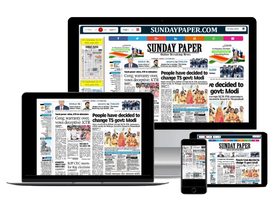 Digital Newspaper Software Interface - E-Paper CMS Platform
